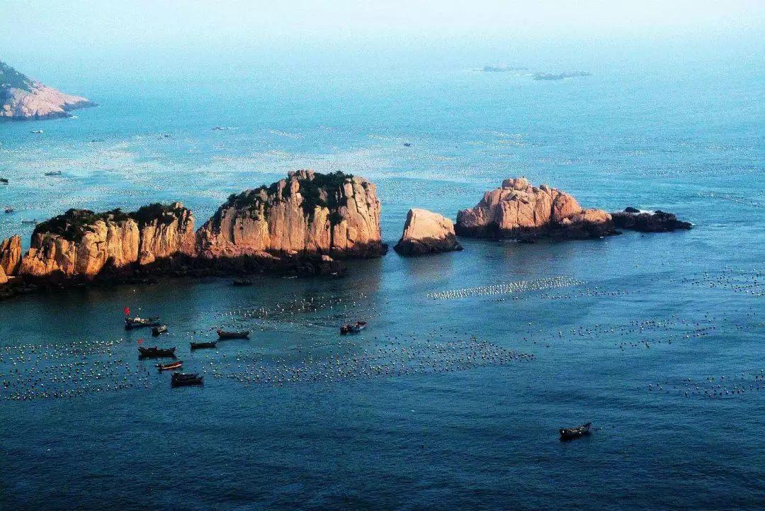 狄仁杰、姚崇为何要推荐垂暮之年的张柬之？武则天：他们是坑人精
